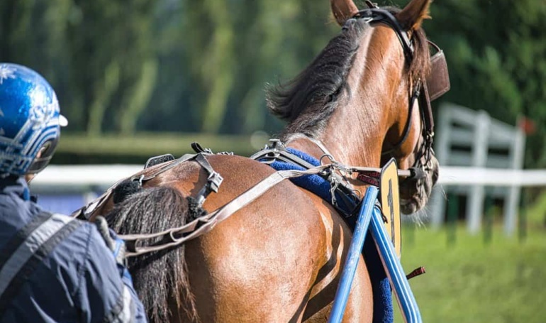 Kentucky Derby Winner Prediction Strategies: Arbitraging the Run for the Roses on Prediction Markets