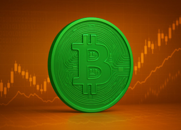 Navigating Bitcoin Cash in 2026: An Insider's Perspective on Price, Upgrades, and Market Dynamics