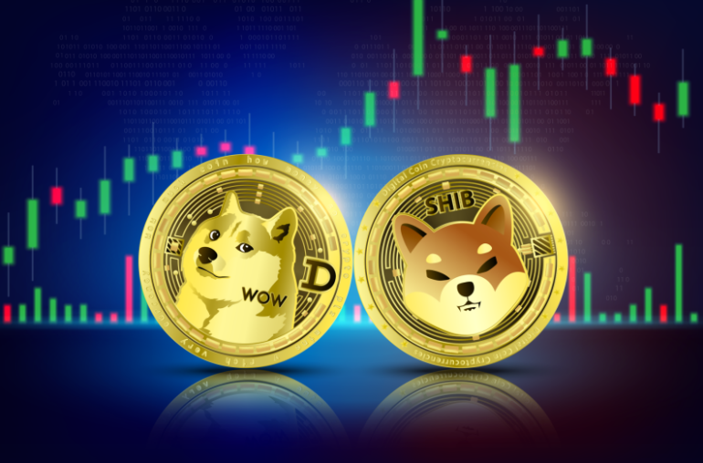 Dogecoin or Shiba Inu: Picking the Top Meme Coin for 2026 Gains
