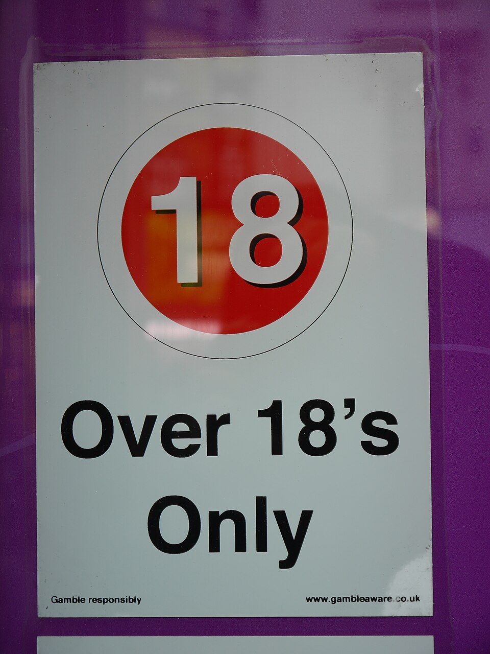 Illustration: 2026 State-by-State Sports Betting Legal Age Requirements